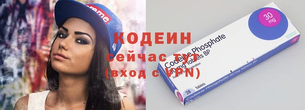 СК Горнозаводск